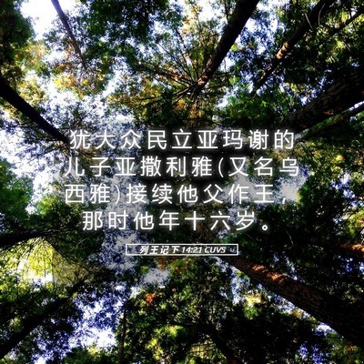 Picture 05 - 列 王 记 下 14:21 CUVS - 犹 大 众 民 立 亚 玛 谢 的 儿 子 亚 - Bible Verse Picture