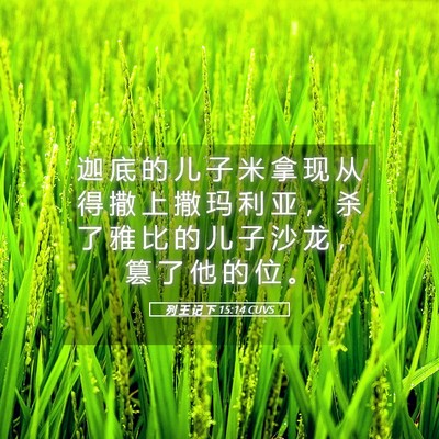 Picture 05 - 列 王 记 下 15:14 CUVS - 迦 底 的 儿 子 米 拿 现 从 得 撒 上 - Bible Verse Picture
