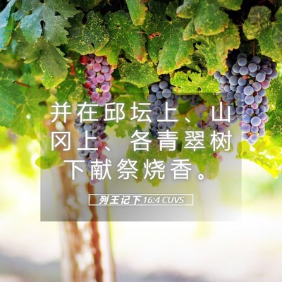 Picture 05 - 列 王 记 下 16:4 CUVS - 并 在 邱 坛 上 、 山 冈 上 、 各 青 - Bible Verse Picture
