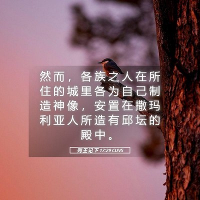 Picture 05 - 列 王 记 下 17:29 CUVS - 然 而 ， 各 族 之 人 在 所 住 的 城 - Bible Verse Picture