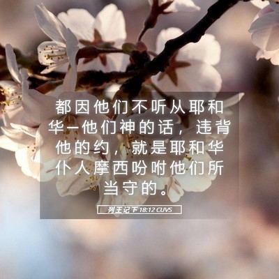 Picture 05 - 列 王 记 下 18:12 CUVS - 都 因 他 们 不 听 从 耶 和 华 ─ 他 - Bible Verse Picture
