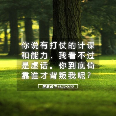Picture 05 - 列 王 记 下 18:20 CUVS - 你 说 有 打 仗 的 计 谋 和 能 力 ， - Bible Verse Picture