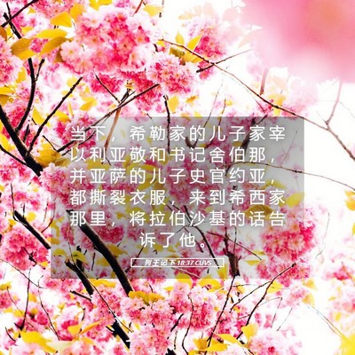 Picture 05 - 列 王 记 下 18:37 CUVS - 当 下 ， 希 勒 家 的 儿 子 家 宰 以 - Bible Verse Picture