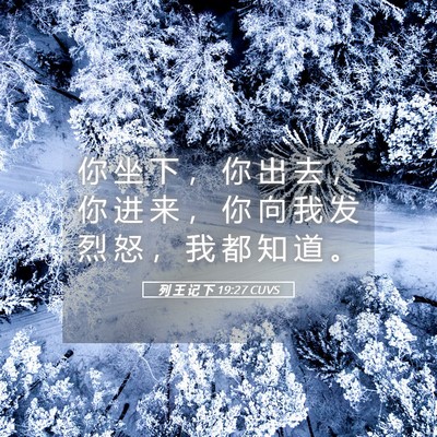 Picture 05 - 列 王 记 下 19:27 CUVS - 你 坐 下 ， 你 出 去 ， 你 进 来 ， - Bible Verse Picture