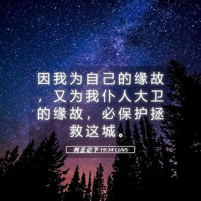 Picture 05 - 列 王 记 下 19:34 CUVS - 因 我 为 自 己 的 缘 故 ， 又 为 我 - Bible Verse Picture