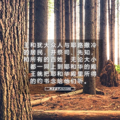 Picture 05 - 列 王 记 下 23:2 CUVS - 王 和 犹 大 众 人 与 耶 路 撒 冷 的 - Bible Verse Picture
