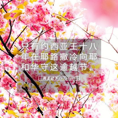Picture 05 - 列 王 记 下 23:23 CUVS - 只 有 约 西 亚 王 十 八 年 在 耶 路 - Bible Verse Picture