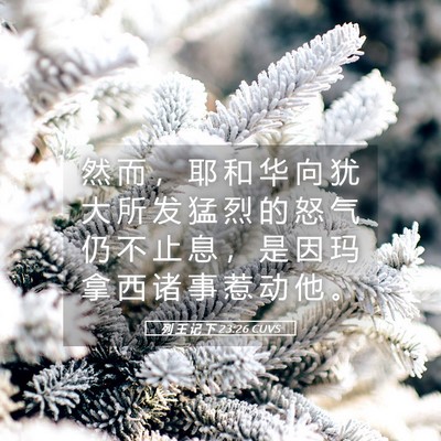 Picture 05 - 列 王 记 下 23:26 CUVS - 然 而 ， 耶 和 华 向 犹 大 所 发 猛 - Bible Verse Picture