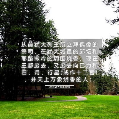 Picture 05 - 列 王 记 下 23:5 CUVS - 从 前 犹 大 列 王 所 立 拜 偶 像 的 - Bible Verse Picture