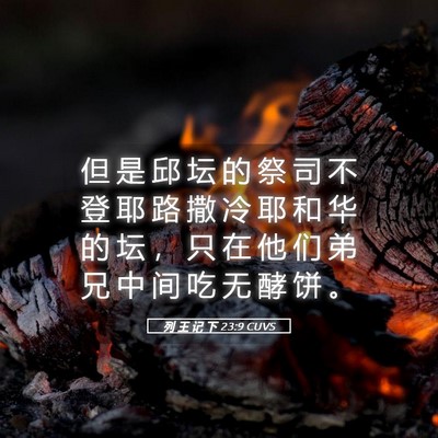 Picture 05 - 列 王 记 下 23:9 CUVS - 但 是 邱 坛 的 祭 司 不 登 耶 路 撒 - Bible Verse Picture