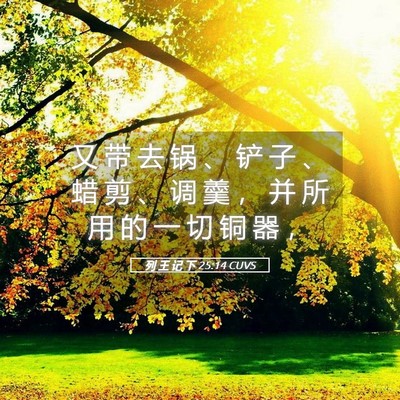 Picture 05 - 列 王 记 下 25:14 CUVS - 又 带 去 锅 、 铲 子 、 蜡 剪 、 调 - Bible Verse Picture