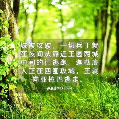 Picture 05 - 列 王 记 下 25:4 CUVS - 城 被 攻 破 ， 一 切 兵 丁 就 在 夜 - Bible Verse Picture
