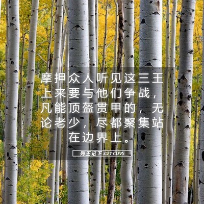 Picture 05 - 列 王 记 下 3:21 CUVS - 摩 押 众 人 听 见 这 三 王 上 来 要 - Bible Verse Picture