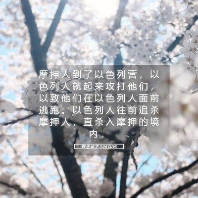 Picture 05 - 列 王 记 下 3:24 CUVS - 摩 押 人 到 了 以 色 列 营 ， 以 色 - Bible Verse Picture
