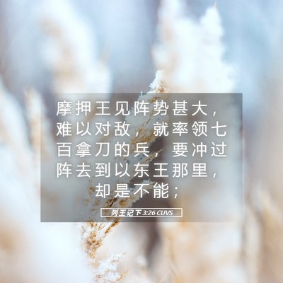Picture 05 - 列 王 记 下 3:26 CUVS - 摩 押 王 见 阵 势 甚 大 ， 难 以 对 - Bible Verse Picture