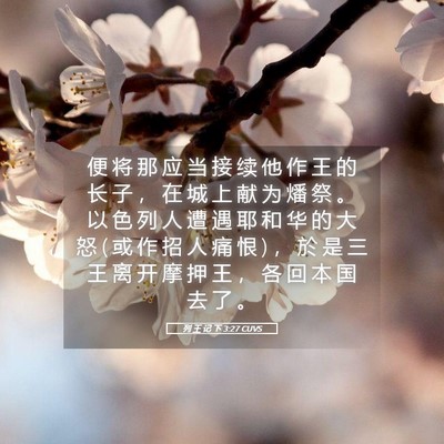 Picture 05 - 列 王 记 下 3:27 CUVS - 便 将 那 应 当 接 续 他 作 王 的 长 - Bible Verse Picture