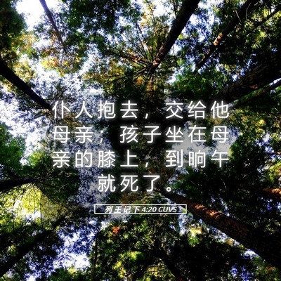 Picture 05 - 列 王 记 下 4:20 CUVS - 仆 人 抱 去 ， 交 给 他 母 亲 ； 孩 - Bible Verse Picture