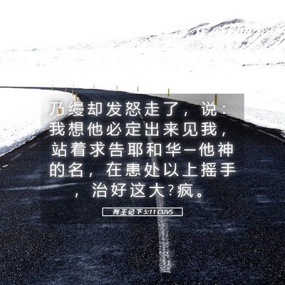Picture 05 - 列 王 记 下 5:11 CUVS - 乃 缦 却 发 怒 走 了 ， 说 ： 我 想 - Bible Verse Picture