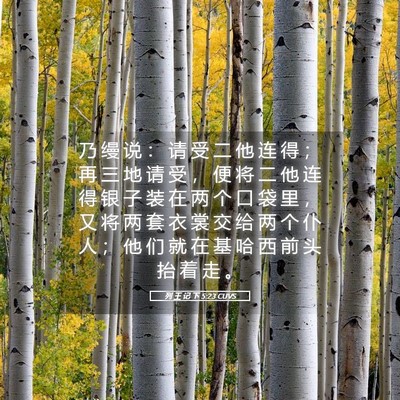 Picture 05 - 列 王 记 下 5:23 CUVS - 乃 缦 说 ： 请 受 二 他 连 得 ； 再 - Bible Verse Picture