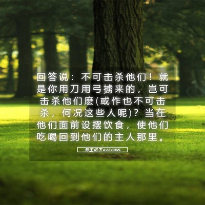 Picture 05 - 列 王 记 下 6:22 CUVS - 回 答 说 ： 不 可 击 杀 他 们 ！ 就 - Bible Verse Picture