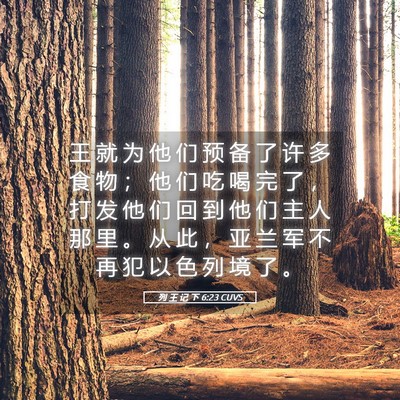 Picture 05 - 列 王 记 下 6:23 CUVS - 王 就 为 他 们 预 备 了 许 多 食 物 - Bible Verse Picture