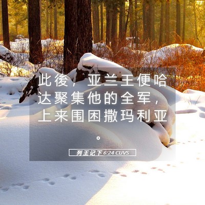 Picture 05 - 列 王 记 下 6:24 CUVS - 此 後 ， 亚 兰 王 便 哈 达 聚 集 他 - Bible Verse Picture