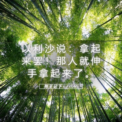 Picture 05 - 列 王 记 下 6:7 CUVS - 以 利 沙 说 ： 拿 起 来 罢 ！ 那 人 - Bible Verse Picture