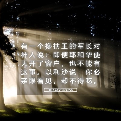 Picture 05 - 列 王 记 下 7:2 CUVS - 有 一 个 搀 扶 王 的 军 长 对 神 人 - Bible Verse Picture