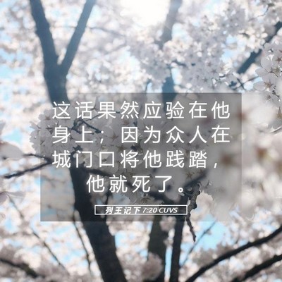 Picture 05 - 列 王 记 下 7:20 CUVS - 这 话 果 然 应 验 在 他 身 上 ； 因 - Bible Verse Picture
