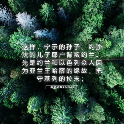 Picture 05 - 列 王 记 下 9:14 CUVS - 这 样 ， 宁 示 的 孙 子 、 约 沙 法 - Bible Verse Picture