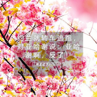 Picture 05 - 列 王 记 下 9:23 CUVS - 约 兰 就 转 车 逃 跑 ， 对 亚 哈 谢 - Bible Verse Picture