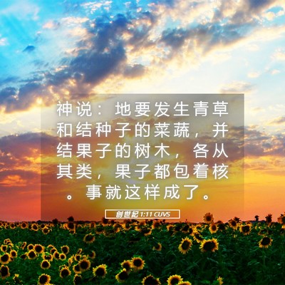 Picture 05 - 创 世 纪 1:11 CUVS - 神 说 ： 地 要 发 生 青 草 和 结 种 - Bible Verse Picture