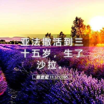 Picture 05 - 创 世 纪 11:12 CUVS - 亚 法 撒 活 到 三 十 五 岁 ， 生 了 - Bible Verse Picture