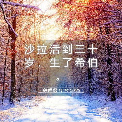 Picture 05 - 创 世 纪 11:14 CUVS - 沙 拉 活 到 三 十 岁 ， 生 了 希 伯 - Bible Verse Picture