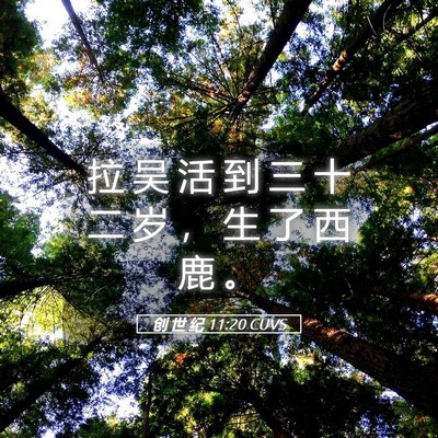 Picture 05 - 创 世 纪 11:20 CUVS - 拉 吴 活 到 三 十 二 岁 ， 生 了 西 - Bible Verse Picture