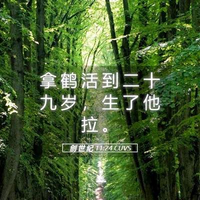 Picture 05 - 创 世 纪 11:24 CUVS - 拿 鹤 活 到 二 十 九 岁 ， 生 了 他 - Bible Verse Picture