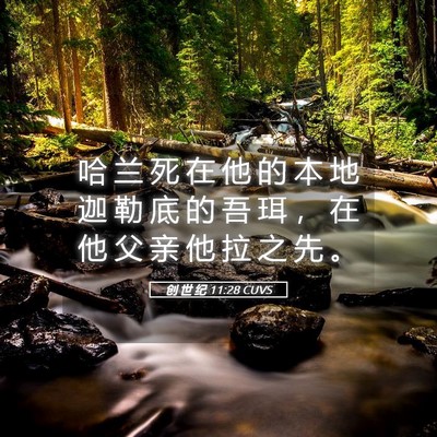 Picture 05 - 创 世 纪 11:28 CUVS - 哈 兰 死 在 他 的 本 地 迦 勒 底 的 - Bible Verse Picture