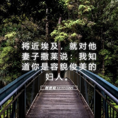 Picture 05 - 创 世 纪 12:11 CUVS - 将 近 埃 及 ， 就 对 他 妻 子 撒 莱 - Bible Verse Picture