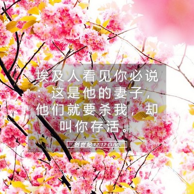 Picture 05 - 创 世 纪 12:12 CUVS - 埃 及 人 看 见 你 必 说 ： 这 是 他 - Bible Verse Picture