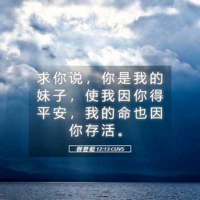 Picture 05 - 创 世 纪 12:13 CUVS - 求 你 说 ， 你 是 我 的 妹 子 ， 使 - Bible Verse Picture