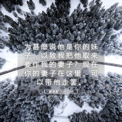 Picture 05 - 创 世 纪 12:19 CUVS - 为 甚 麽 说 他 是 你 的 妹 子 ， 以 - Bible Verse Picture
