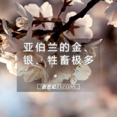 Picture 05 - 创 世 纪 13:2 CUVS - 亚 伯 兰 的 金 、 银 、 牲 畜 极 多 - Bible Verse Picture