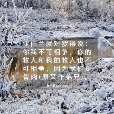 Picture 05 - 创 世 纪 13:8 CUVS - 亚 伯 兰 就 对 罗 得 说 ： 你 我 不 - Bible Verse Picture