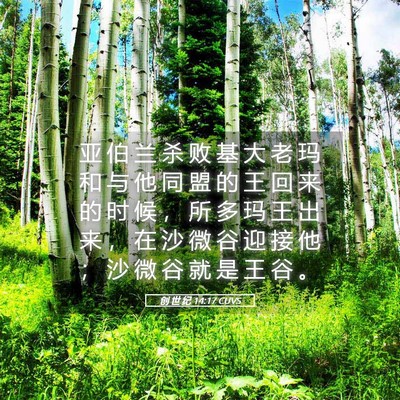 Picture 05 - 创 世 纪 14:17 CUVS - 亚 伯 兰 杀 败 基 大 老 玛 和 与 他 - Bible Verse Picture