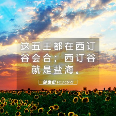 Picture 05 - 创 世 纪 14:3 CUVS - 这 五 王 都 在 西 订 谷 会 合 ； 西 - Bible Verse Picture