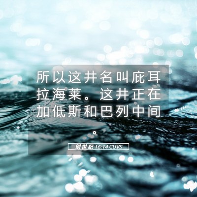 Picture 05 - 创 世 纪 16:14 CUVS - 所 以 这 井 名 叫 庇 耳 拉 海 莱 。 - Bible Verse Picture