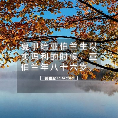Picture 05 - 创 世 纪 16:16 CUVS - 夏 甲 给 亚 伯 兰 生 以 实 玛 利 的 - Bible Verse Picture