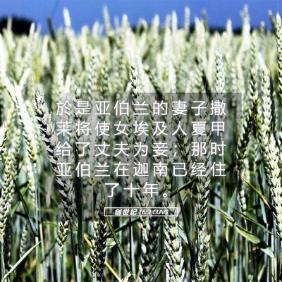 Picture 05 - 创 世 纪 16:3 CUVS - 於 是 亚 伯 兰 的 妻 子 撒 莱 将 使 - Bible Verse Picture