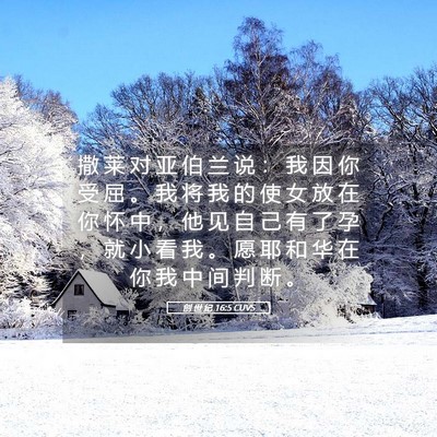 Picture 05 - 创 世 纪 16:5 CUVS - 撒 莱 对 亚 伯 兰 说 ： 我 因 你 受 - Bible Verse Picture