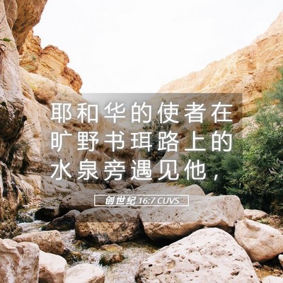 Picture 05 - 创 世 纪 16:7 CUVS - 耶 和 华 的 使 者 在 旷 野 书 珥 路 - Bible Verse Picture